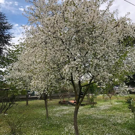 B&B Marilyn 라벤나