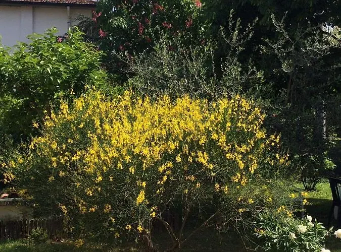 Oda ve Kahvaltı Marilyn