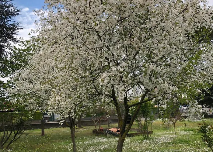 Nocleg ze śniadaniem Marilyn Rawenna
