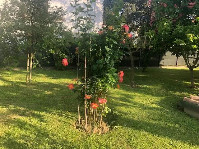 Marilyn Oda ve Kahvaltı